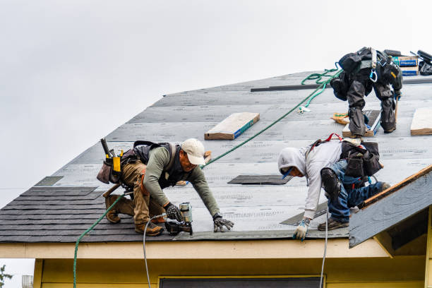 Professional Gutter Installation technician working in Gray, TN